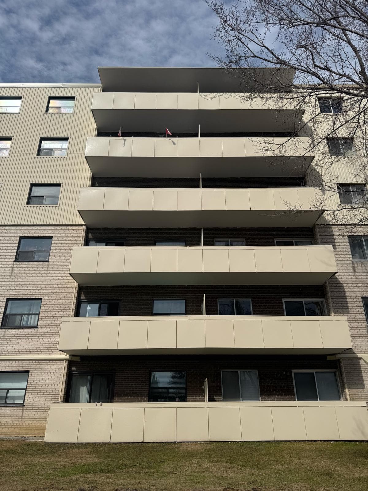 A mid-rise building’s balconies with repainted cream panels, seen from the lawn below